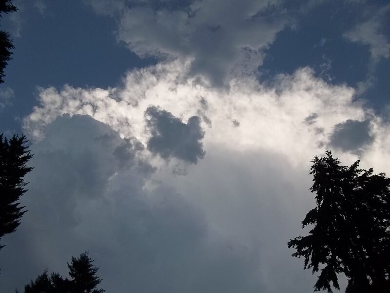 Clouds over Trees — Blue, Dramatic, Afternoon