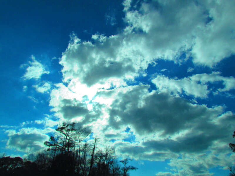 Clouds over Trees — Blue