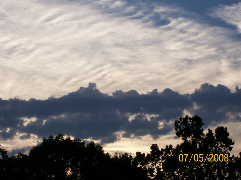 Clouds over Trees — Gray