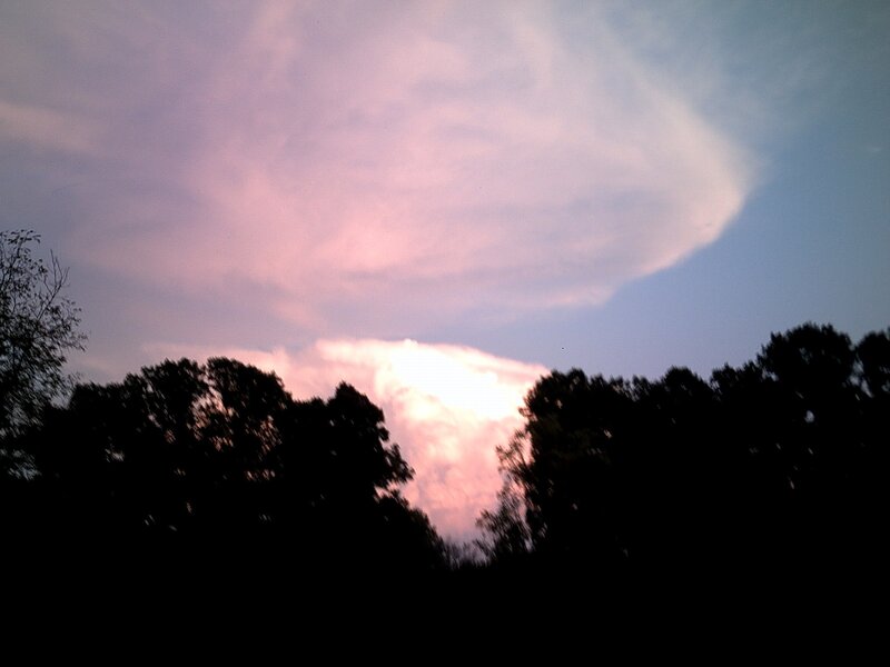 Clouds over Trees — Pink