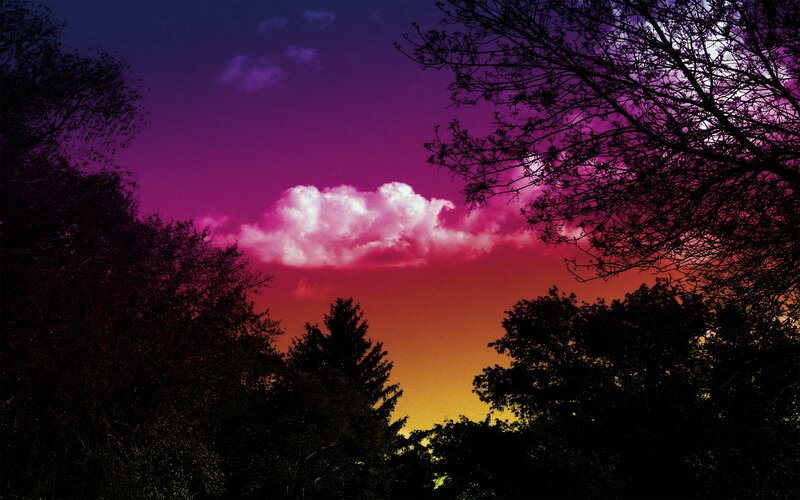 Clouds over Trees — Purple