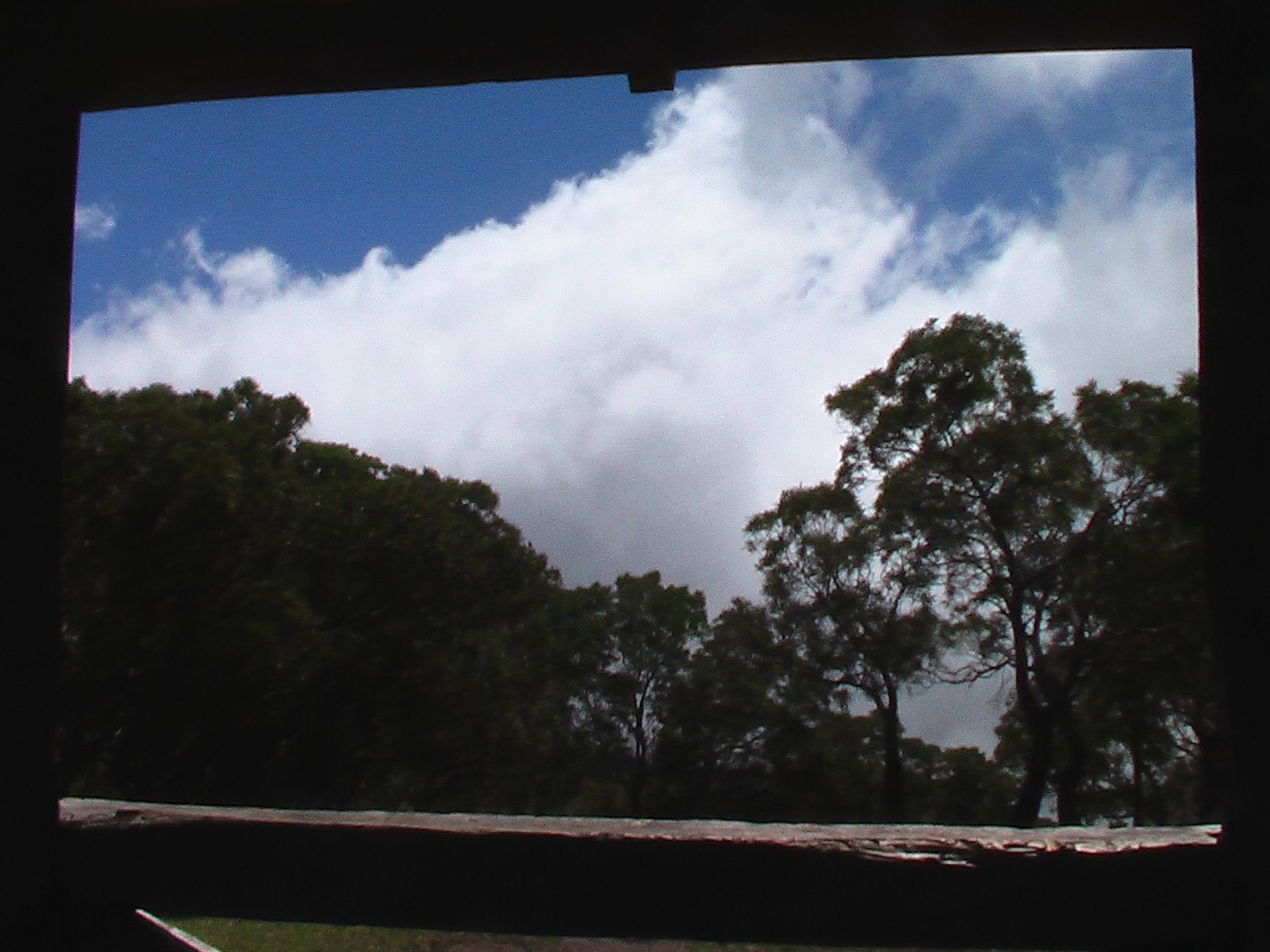 Clouds over trees through window