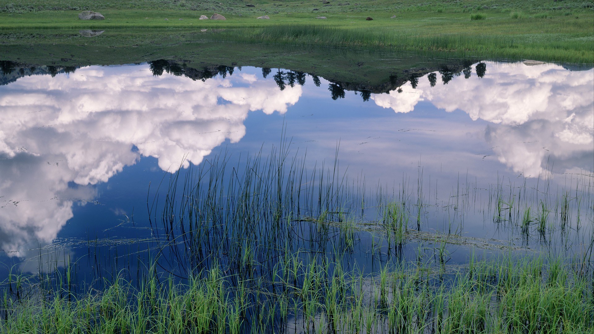 Clouds reflected in a calm pond