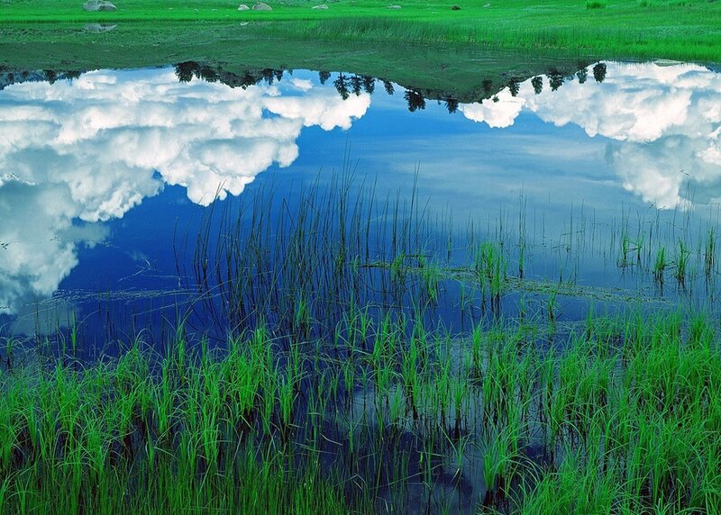 Clouds reflected in a calm pond