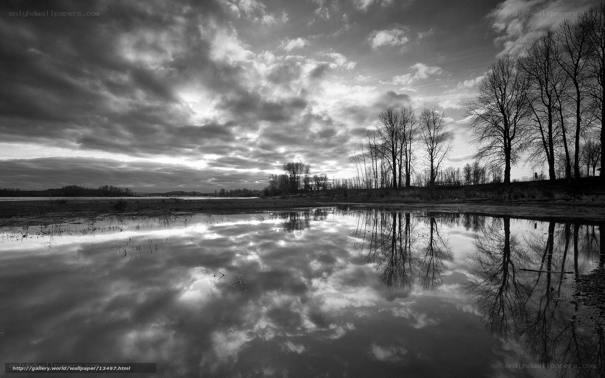 Clouds reflected in a still pond
