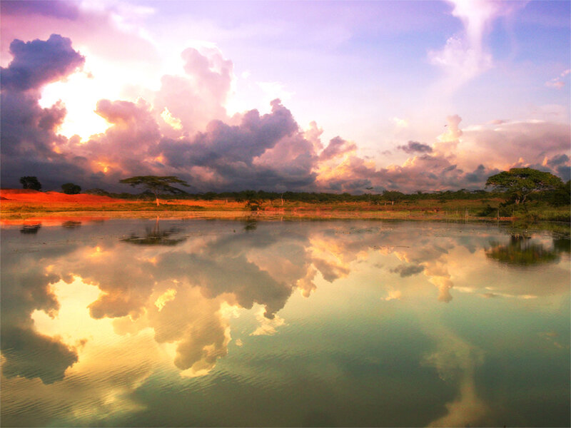 Clouds Reflecting in Water — Purple