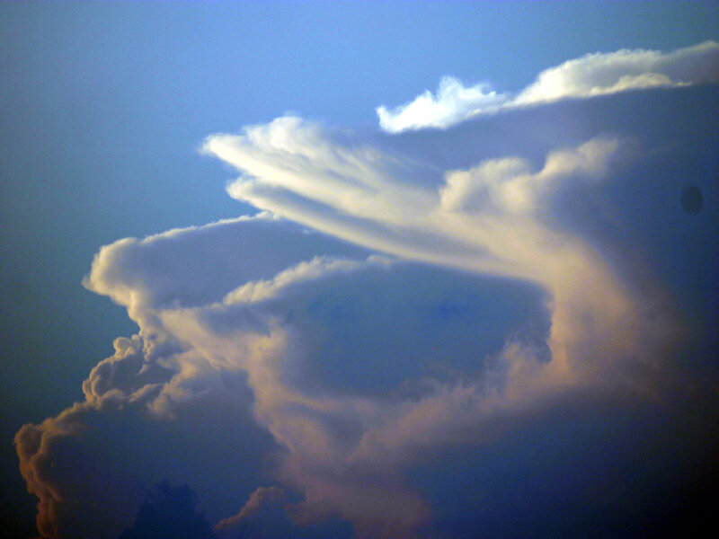 Clouds shaped like a bird