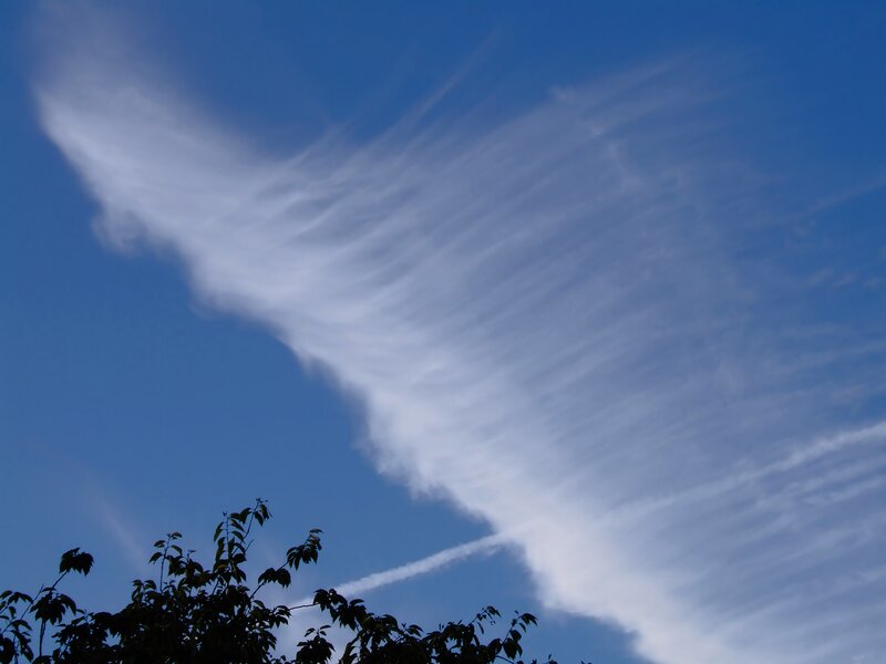 Clouds shaped like wings