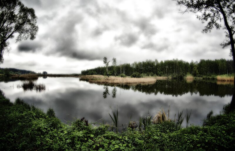 Cloudy lake with forest reflection