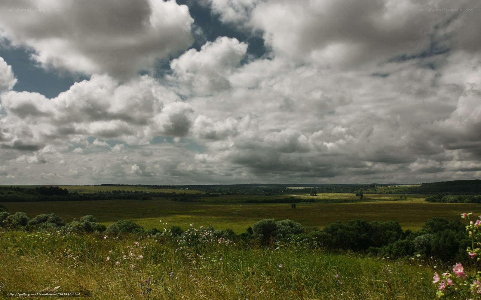 Cloudy landscape with green fields