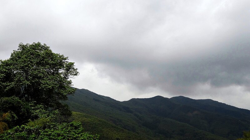 cloudy mountains with trees