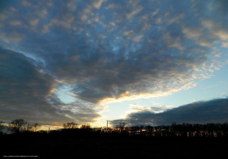 Cloudy Sky at Dusk — Blue, Dramatic, Sunset, Photograph, Trees, Power Line