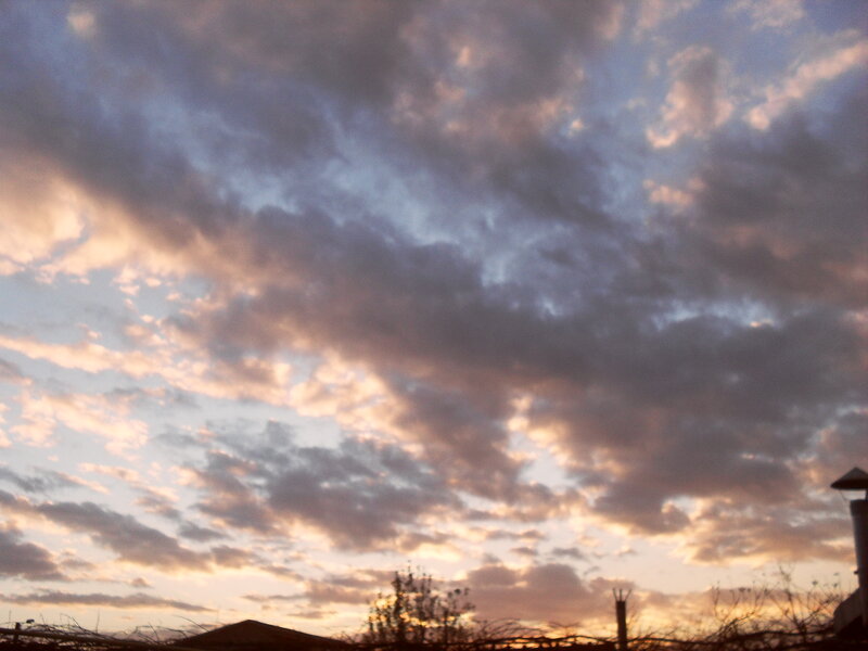 Cloudy Sky at Dusk — Blue, Dramatic, Sunset, Photograph, Trees