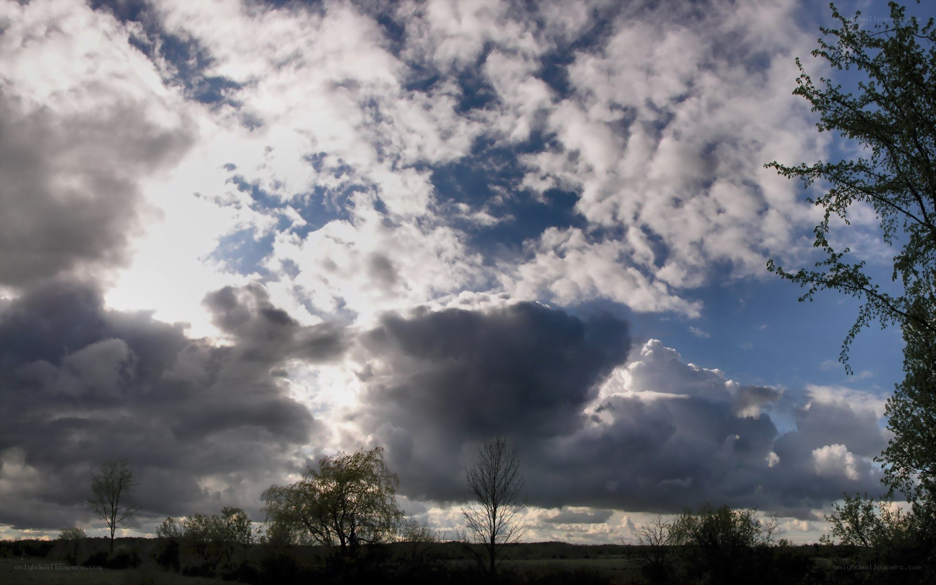 Cloudy sky over a field