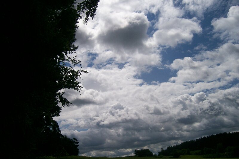 Cloudy sky over a forest