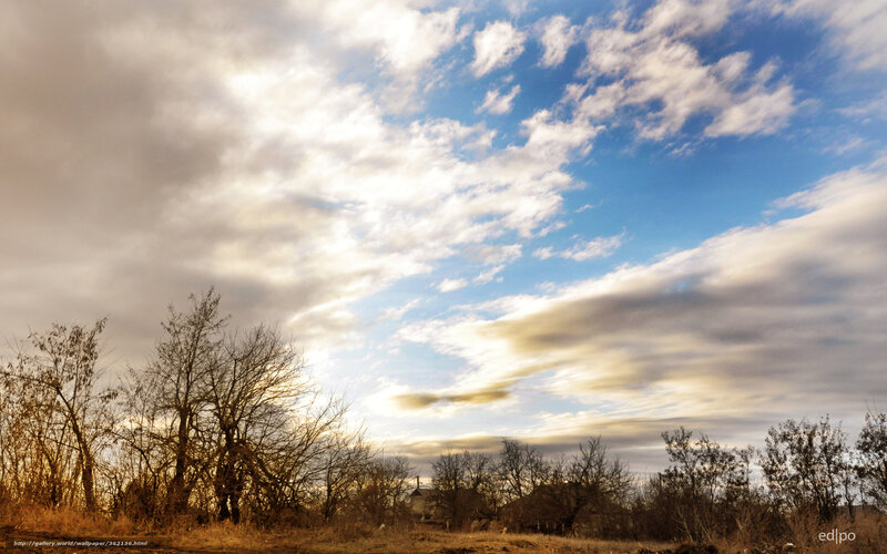 Cloudy sky over bare trees