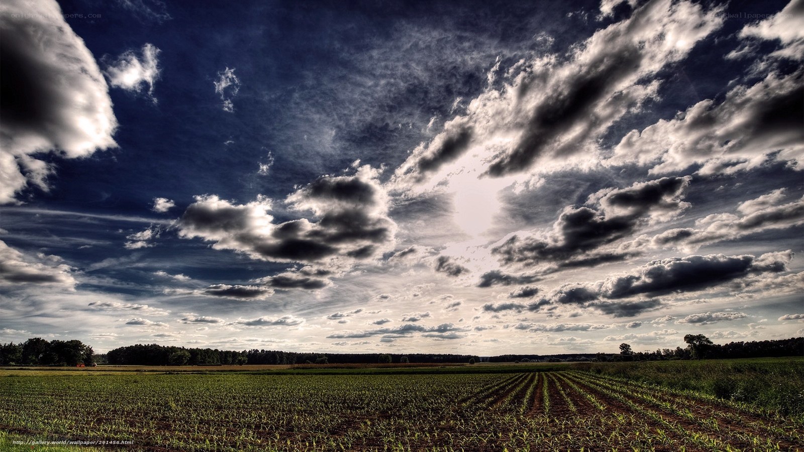 Cloudy sky over farmland