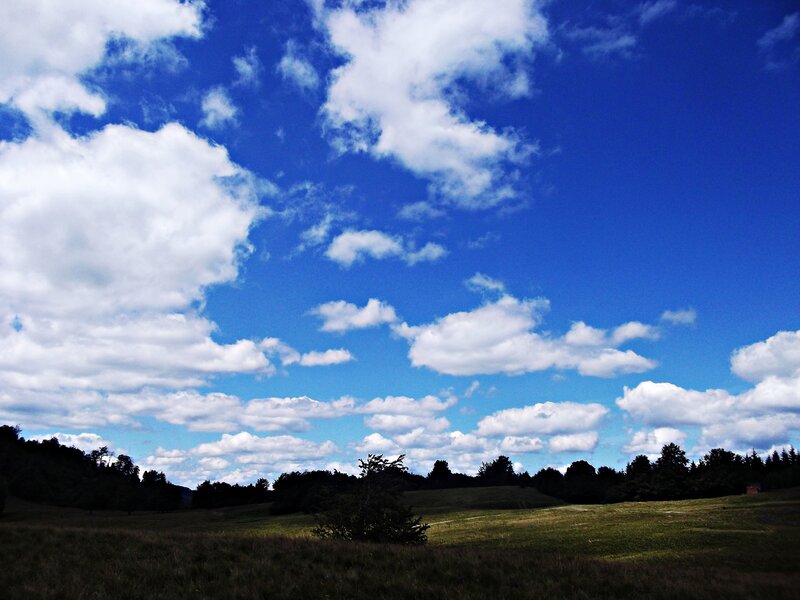Cloudy Sky over Field — Blue