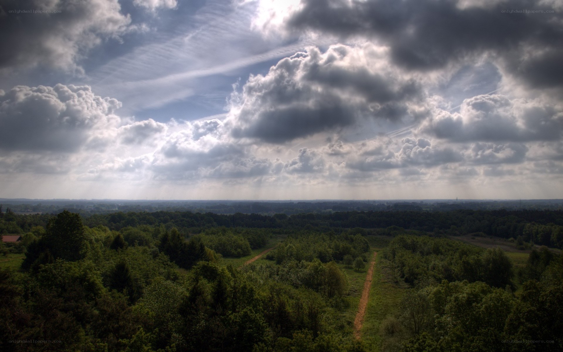 Cloudy Sky Over Forest