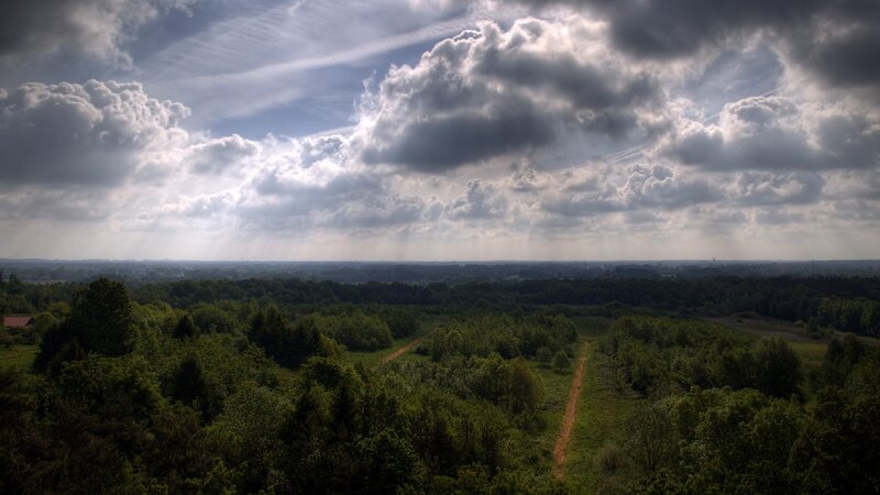Cloudy sky over forest landscape
