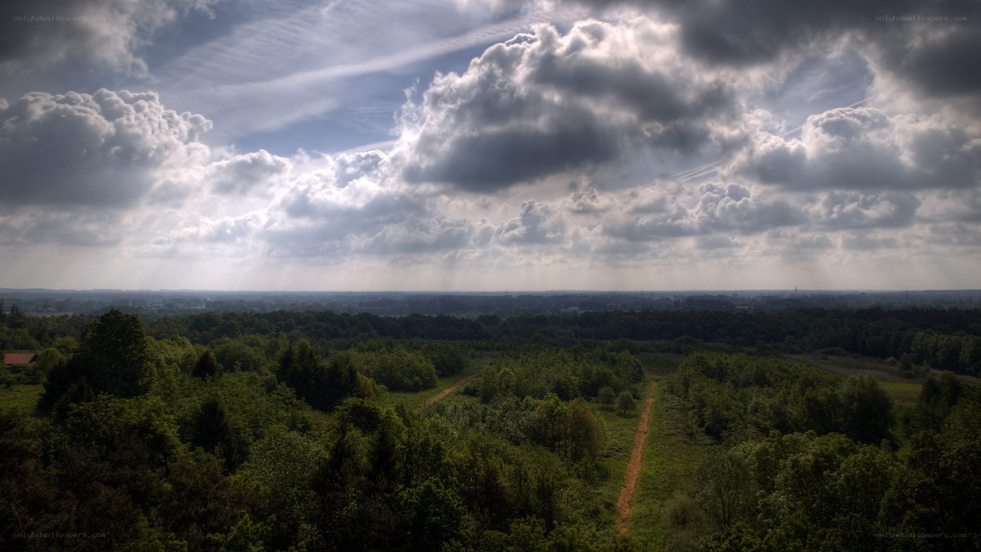 Cloudy sky over forest landscape