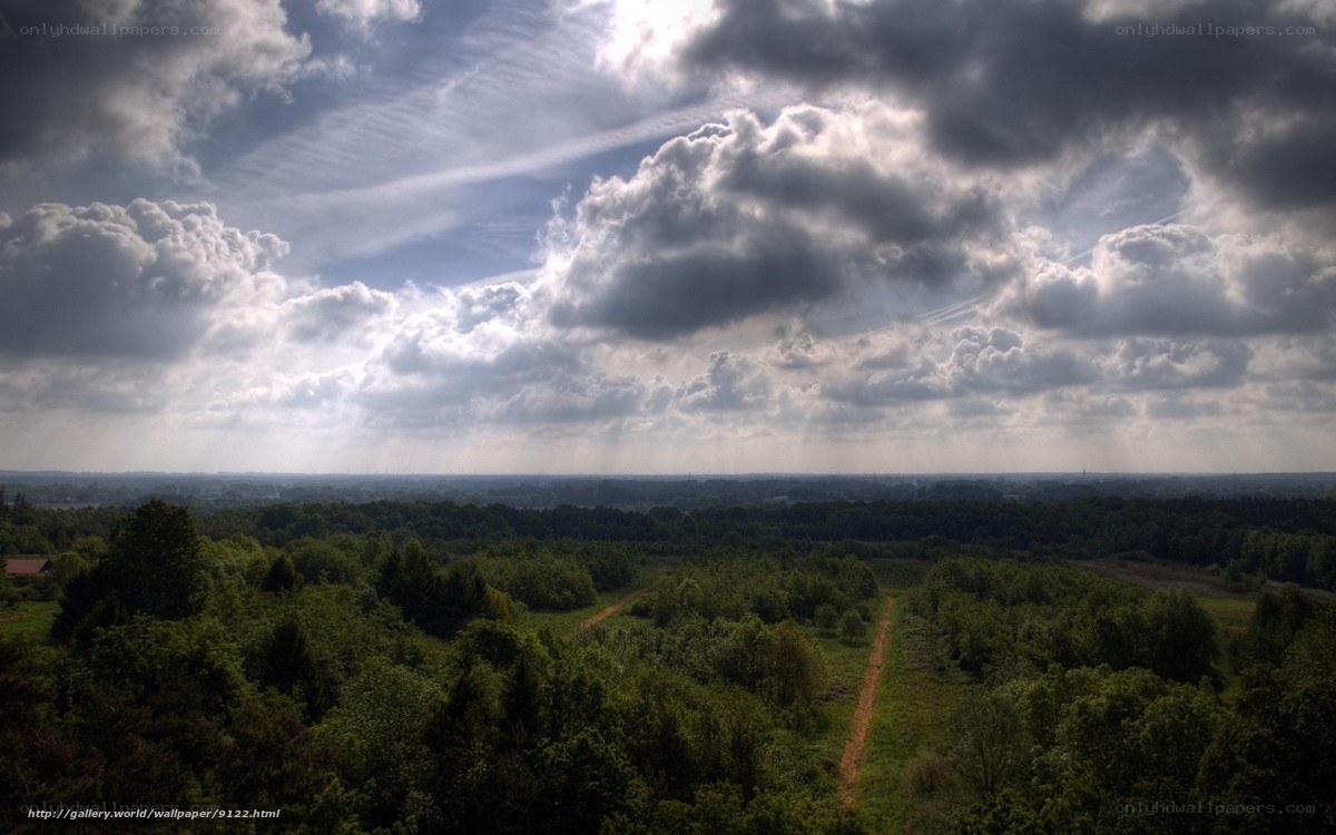 Cloudy Sky Over Forest