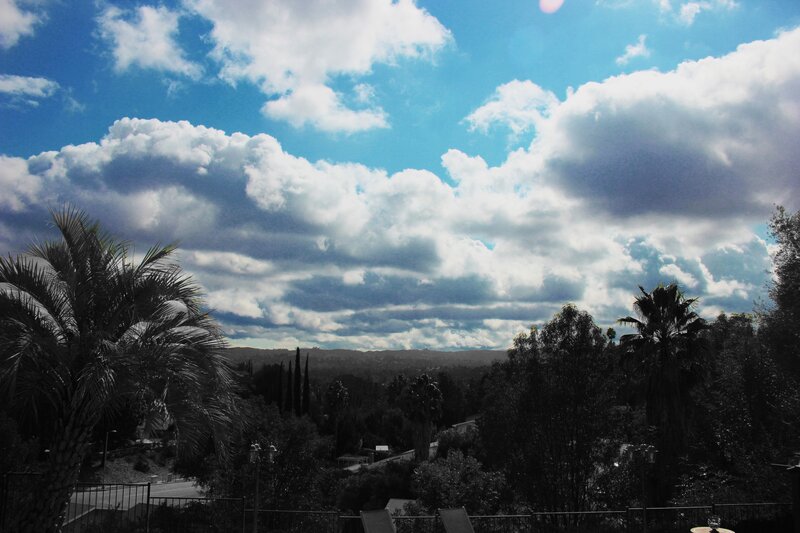 Cloudy sky over palm trees