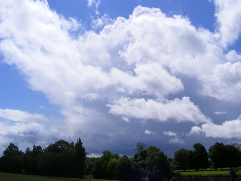 Cloudy sky over park