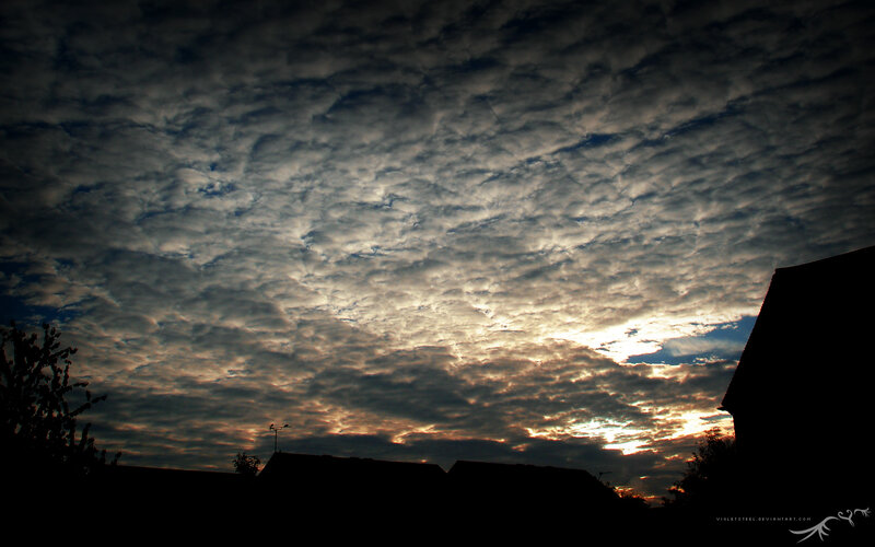 Cloudy Sky over Rooftops