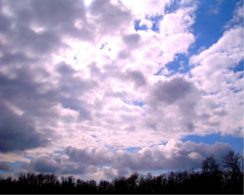 cloudy sky over trees
