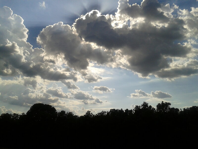 Cloudy Sky over Trees — Blue, Dramatic, Afternoon, Photograph, Clouds