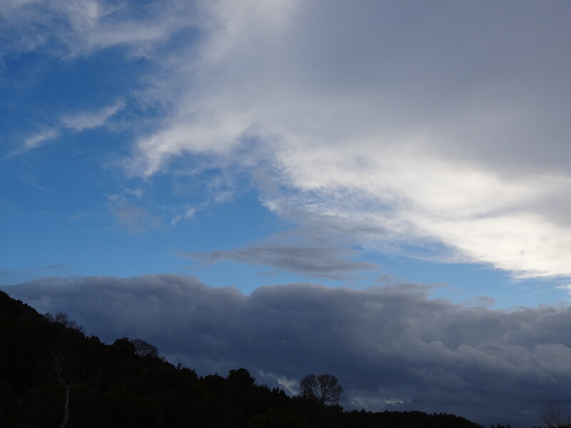 Cloudy Sky over Trees — Blue, Dramatic, Afternoon, Photograph