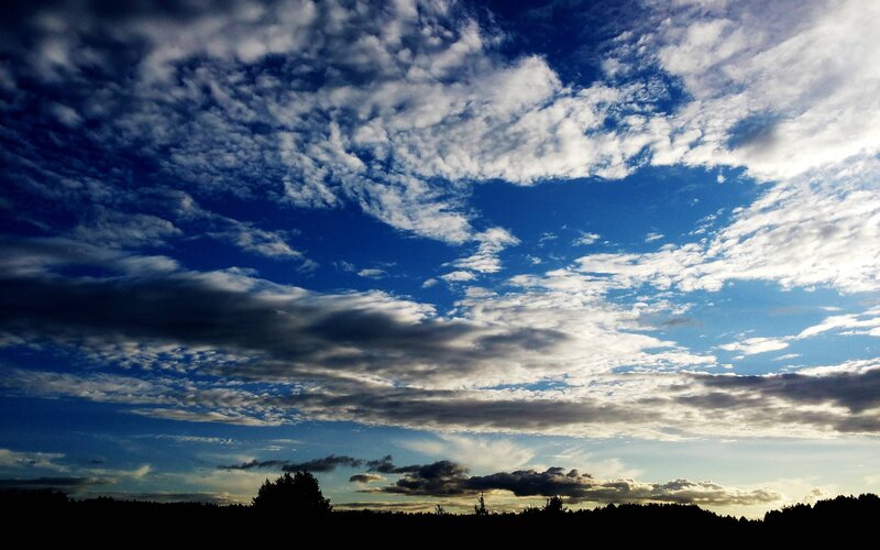 Cloudy Sky over Trees — Blue, Dramatic, Sunset