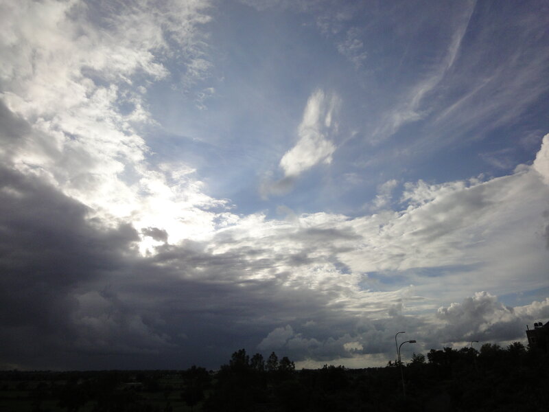 Cloudy Sky over Trees — Blue, Dramatic