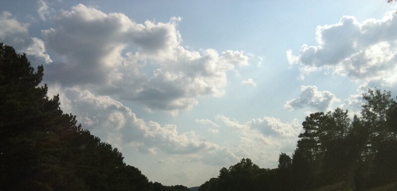 Cloudy Sky over Trees — Blue, Serene