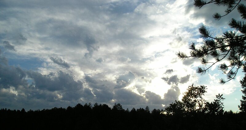 Cloudy Sky over Trees — Blue