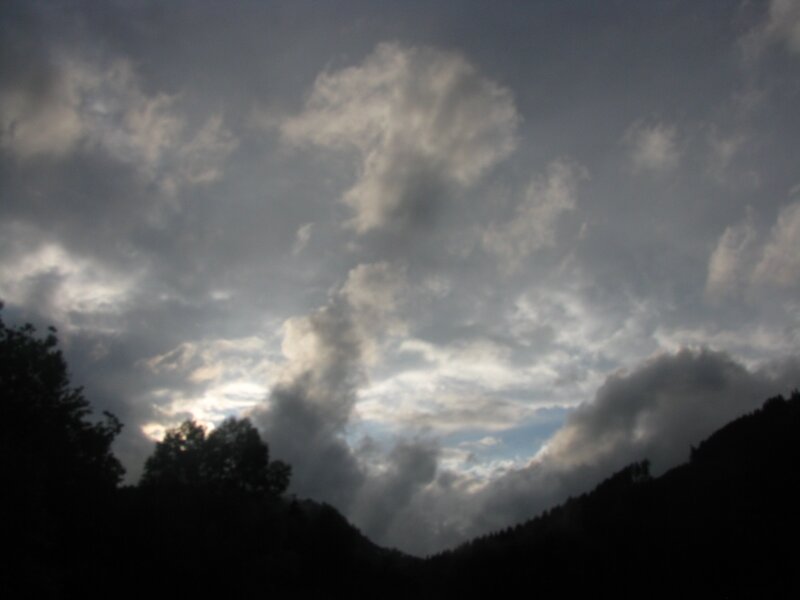 Cloudy Sky over Trees — Gray, Dramatic