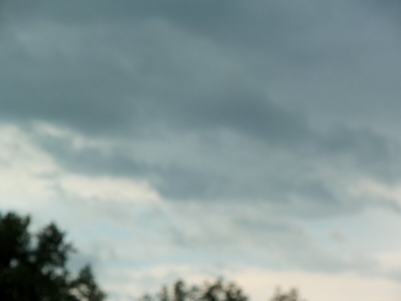 Cloudy Sky over Trees — Gray
