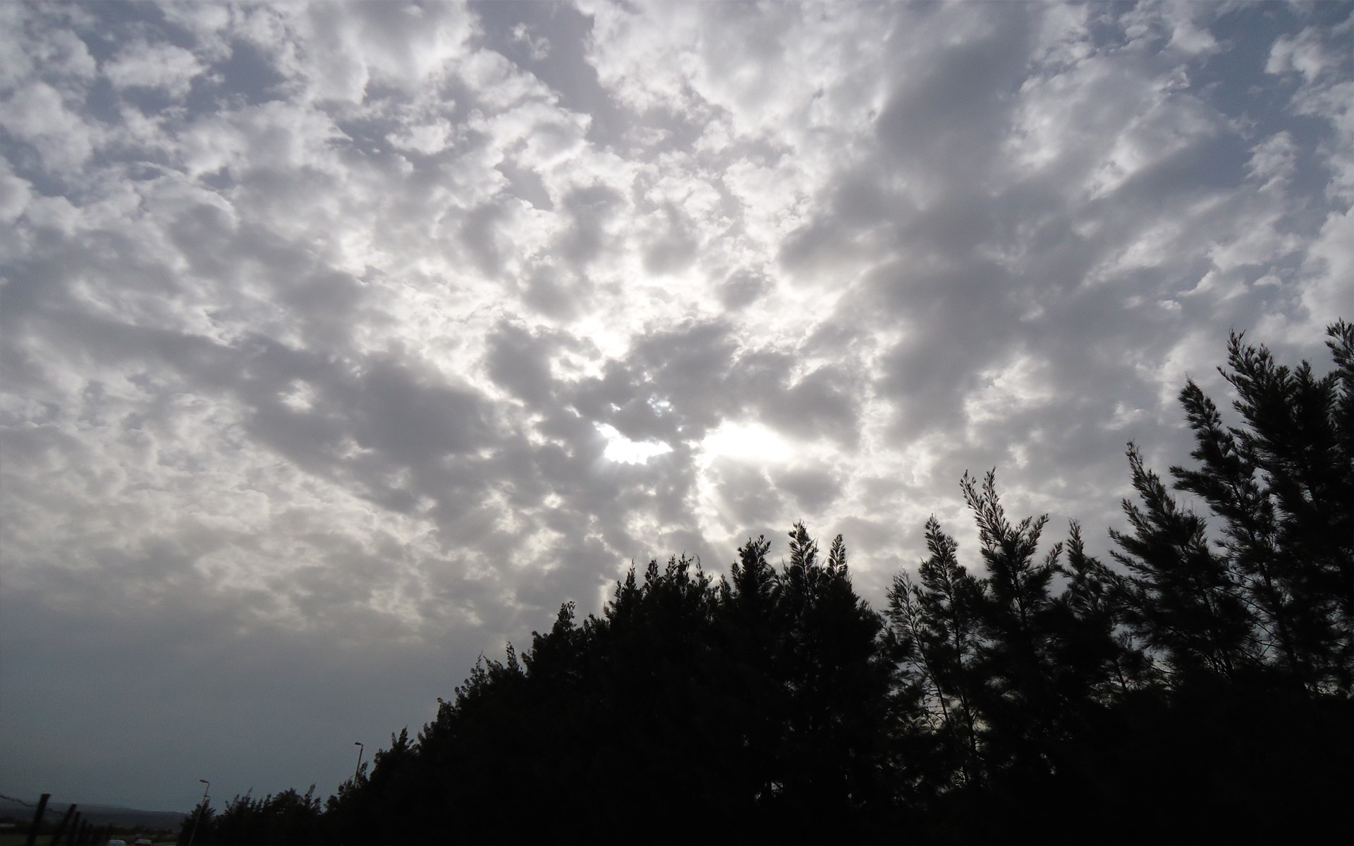Cloudy sky over trees