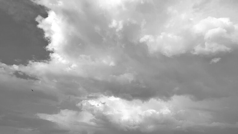 Cloudy Sky with Bird