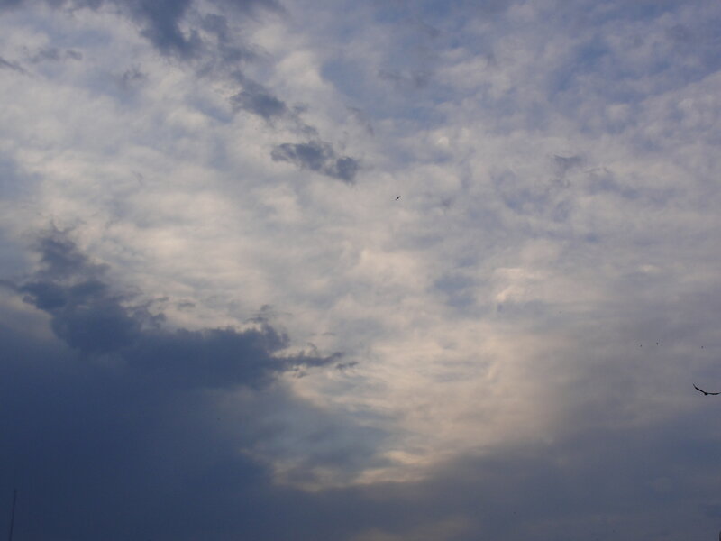 cloudy sky with birds