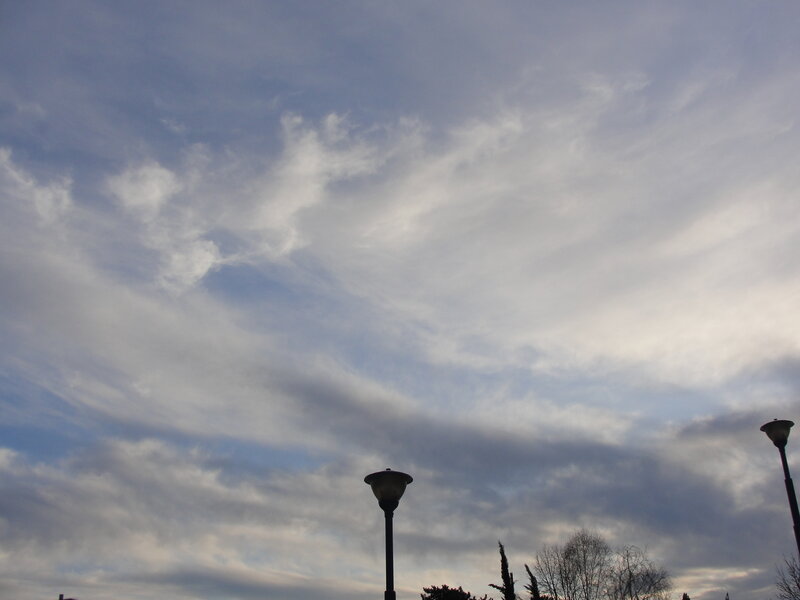 Cloudy sky with street lamps