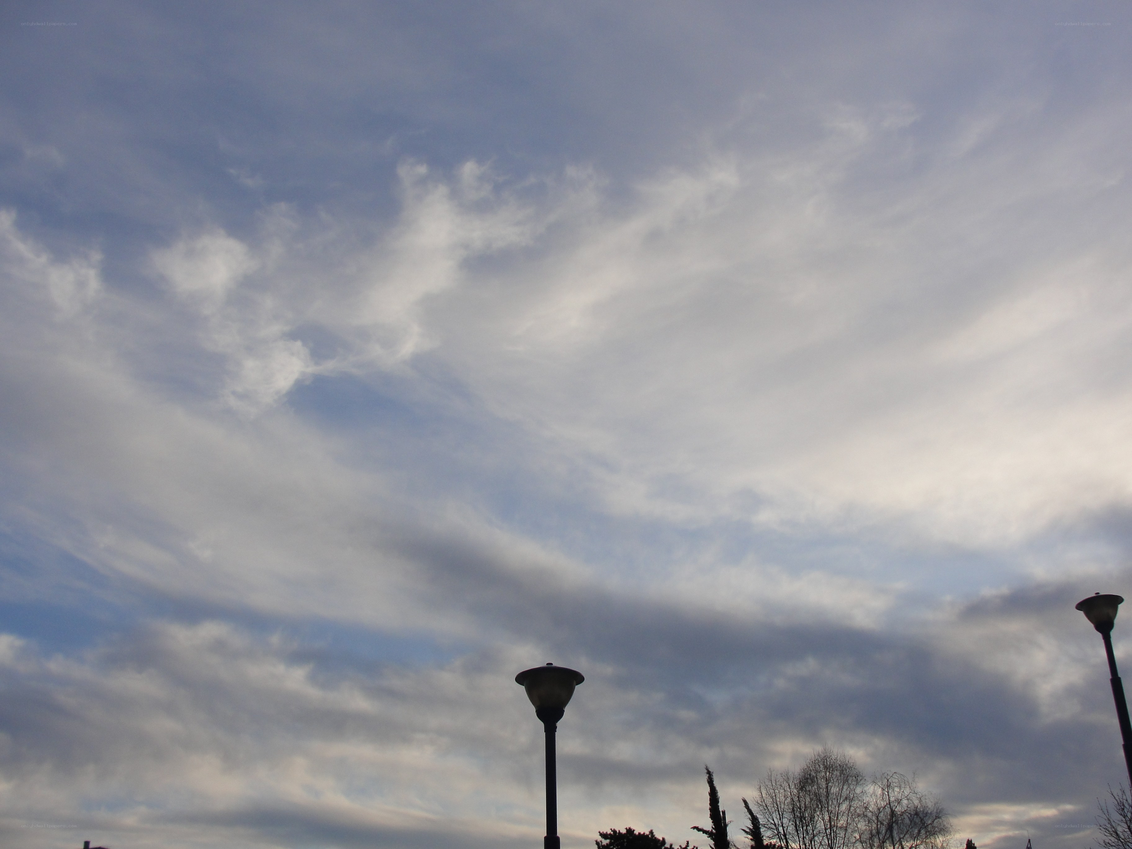 Cloudy sky with street lamps