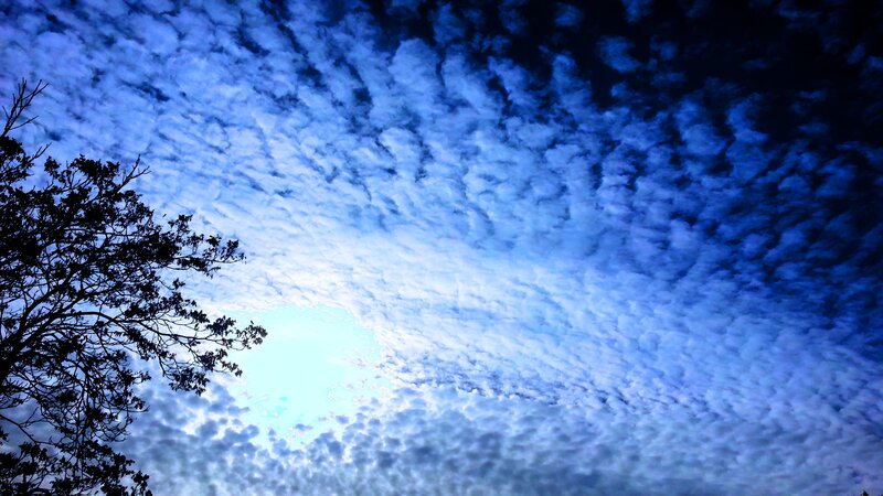 Cloudy Sky with Tree — Blue