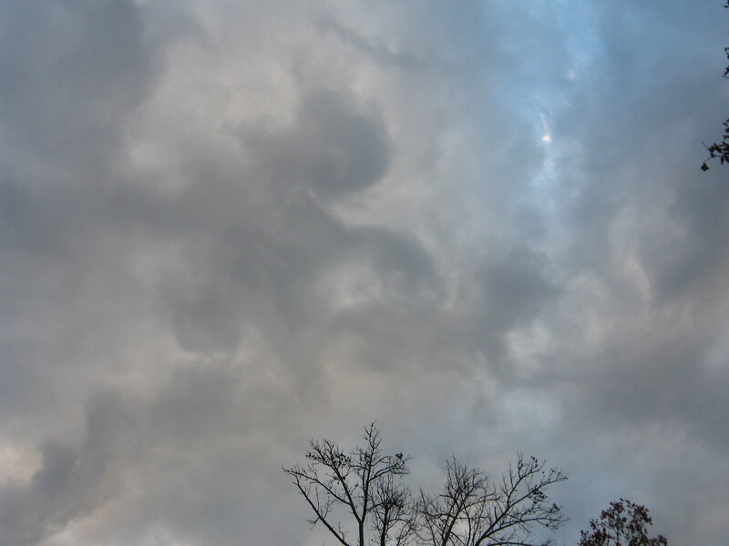 Cloudy Sky with Tree Branches — Gray