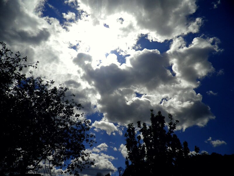 Cloudy Sky with Trees — Blue, Dramatic