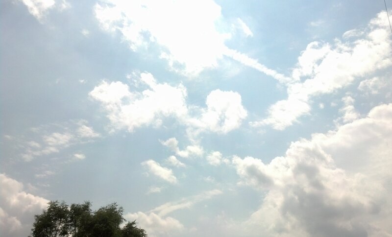 Cloudy Sky with Trees — Blue, Serene