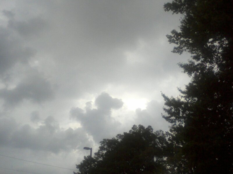 Cloudy Sky with Trees — Gray