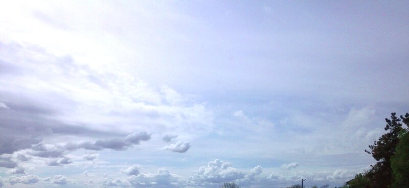 Cloudy Sky with Trees — White