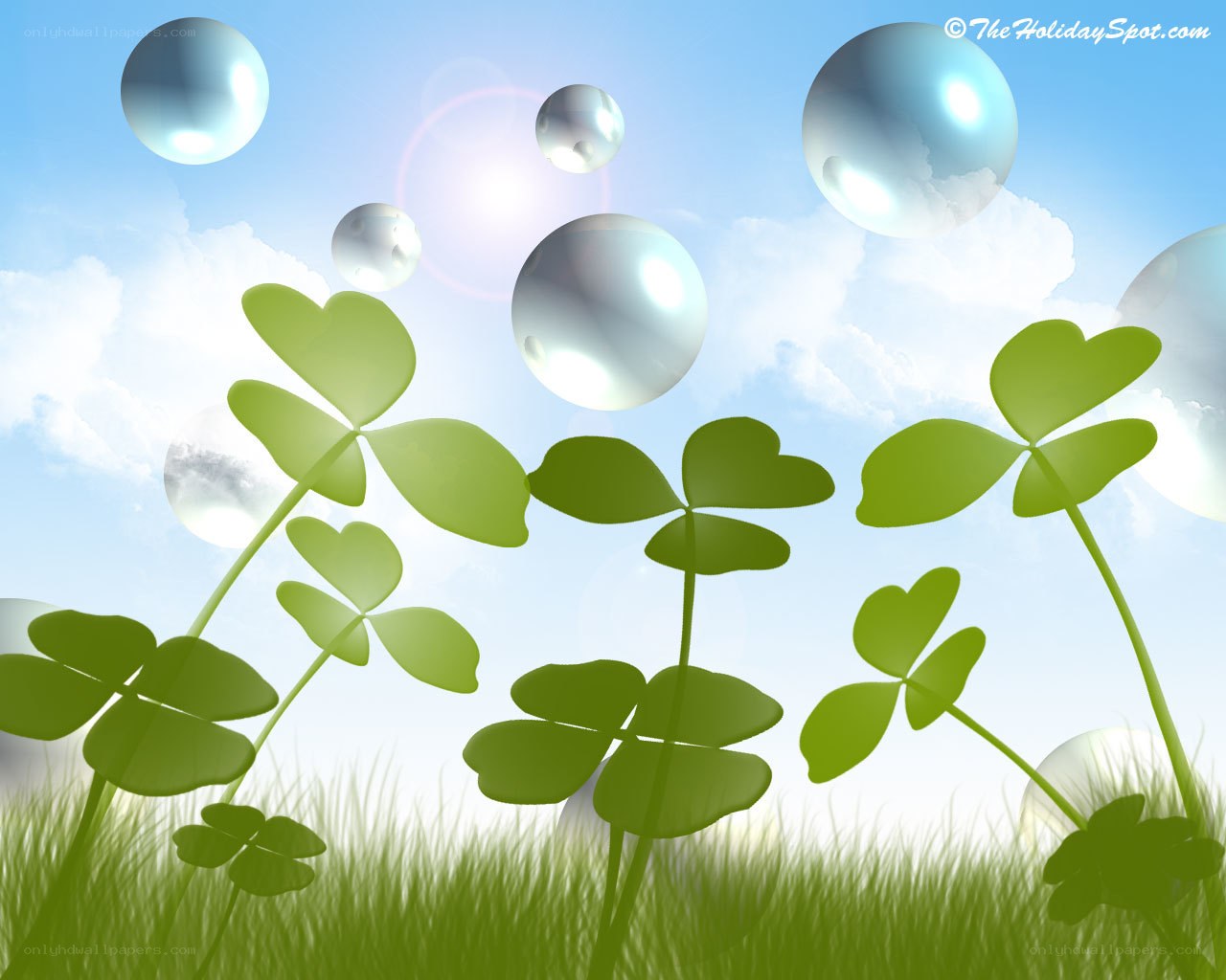 Clover and bubbles in the sun